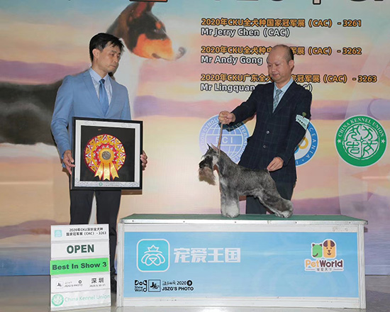 福宠展×方圆犬舍