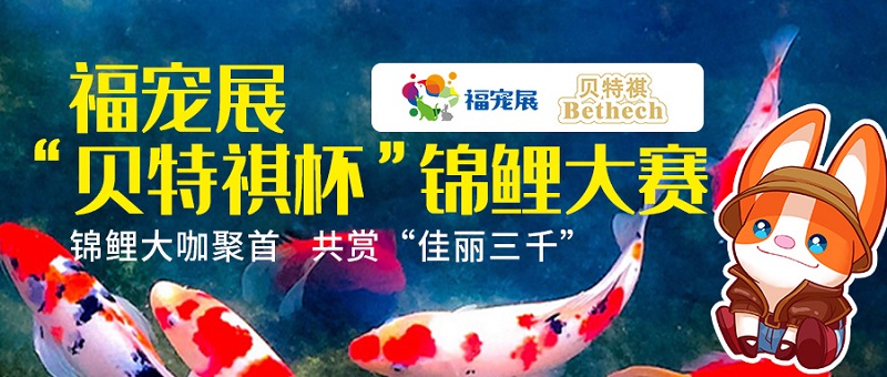 乌龟皮肤溃烂怎么办 看看这些方法_福宠展海报 乌龟皮肤溃烂怎么办 看看这些方法_福宠展海报
