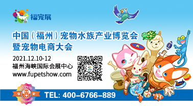 福宠展_仓鼠能用人用药吗 仓鼠也能用的人用药 福宠展_仓鼠能用人用药吗 仓鼠也能用的人用药