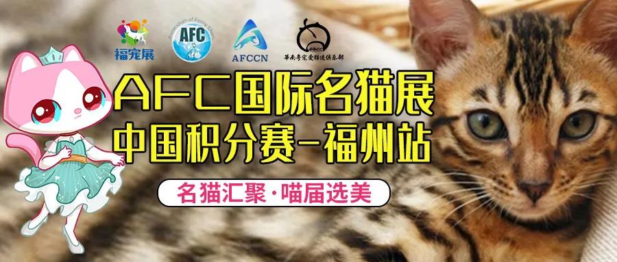 AFC国际名猫展中国积分赛 AFC国际名猫展中国积分赛