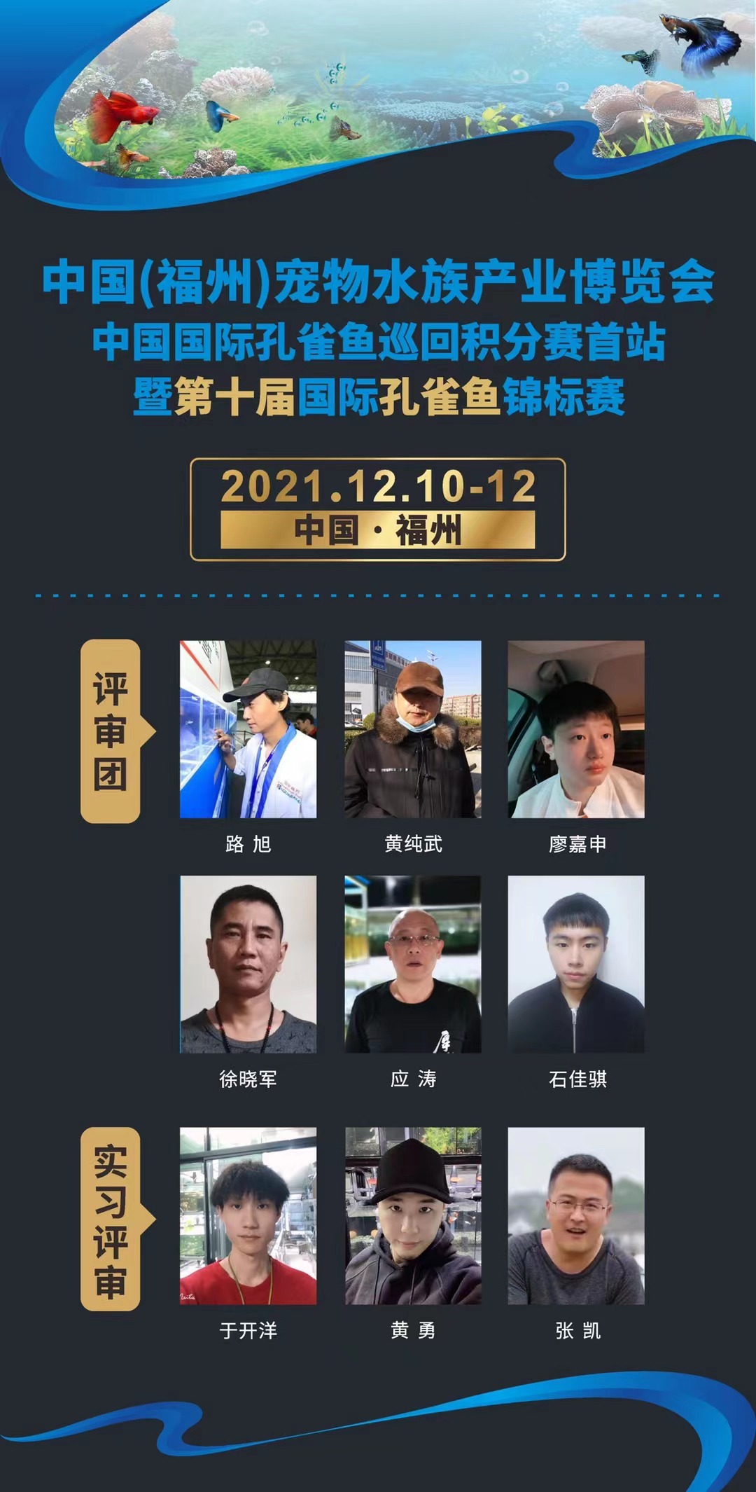福宠展_国际孔雀鱼积分赛