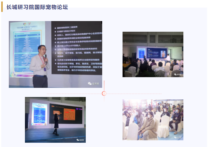 福宠展论坛 福宠展论坛