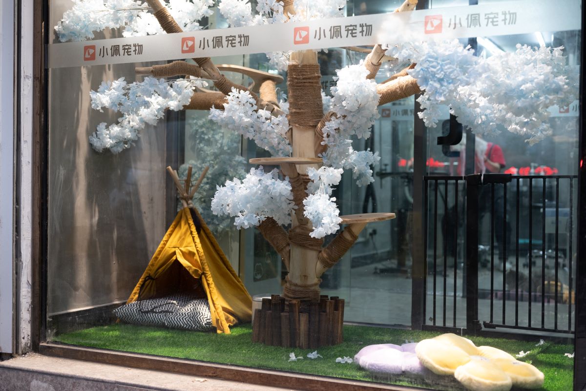 小佩,一家干净的、放心的宠物店 小佩,一家干净的、放心的宠物店