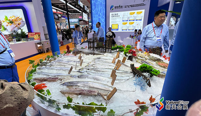 青岛渔博会现场 新天会展拍摄