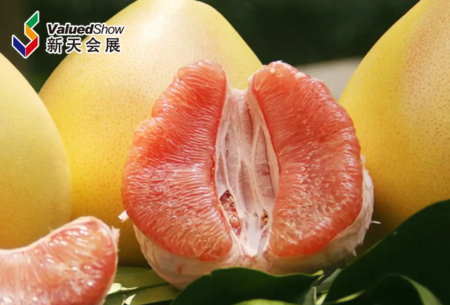 果蔬快讯｜甜蜜首发！云南西双版纳柚子首次出口马来西亚