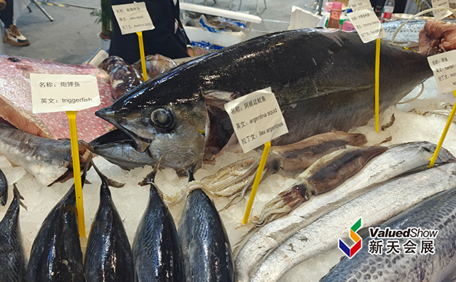 青岛渔博会现场 新天会展拍摄