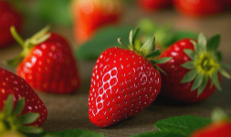 果蔬快讯｜可度夏能越冬！陕西洛南草莓已打开海外市场