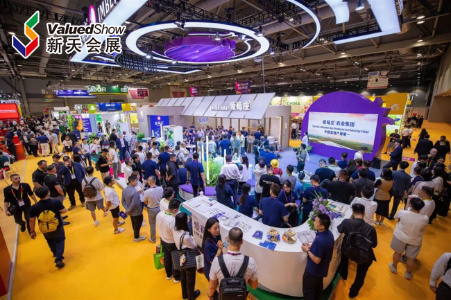 初创企业低成本参展：国际展会小展位高曝光策略