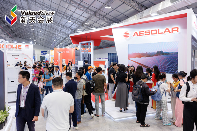 国际展会自办参展 vs 找代理：效率 + 成本对比分析