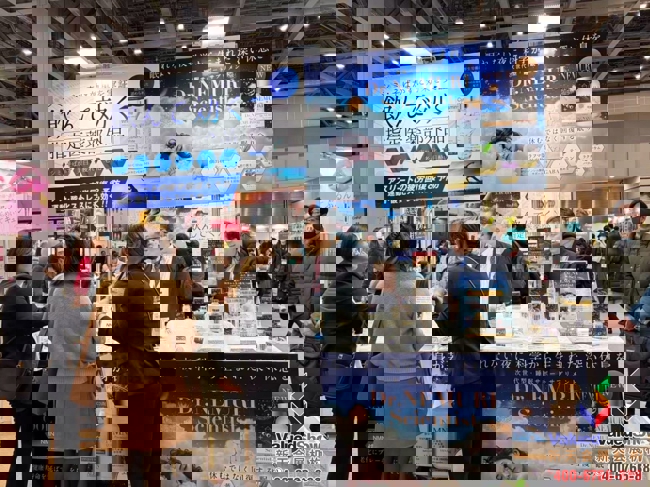 国际展会现场吸引观众驻足咨询的实用指南