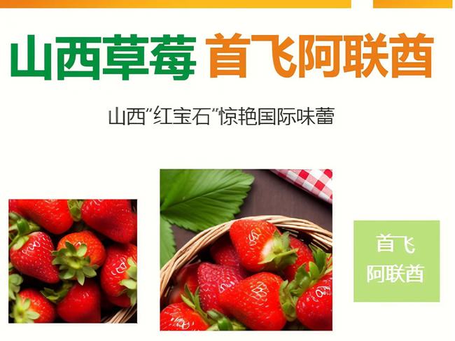 果蔬快讯｜山西草莓首次“甜蜜出海”！180公斤绛县草莓出口阿联酋被抢购一空