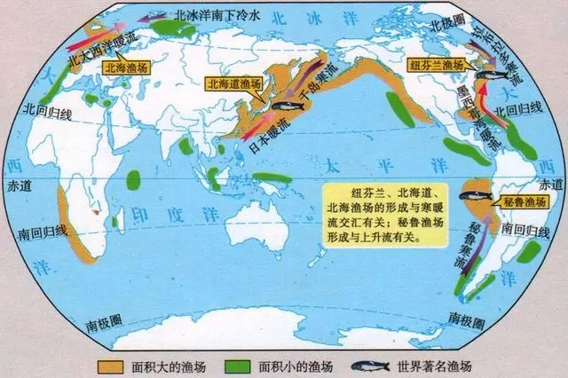 渔场总览.png