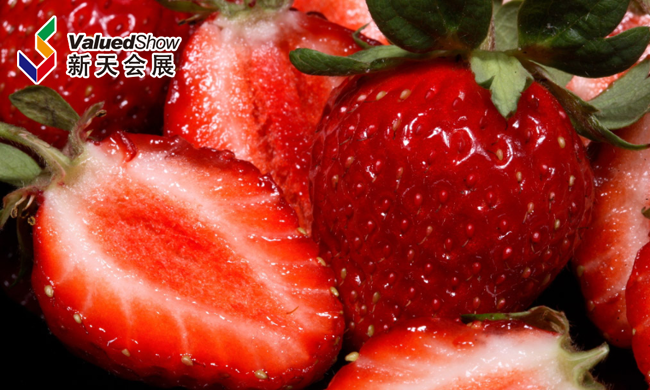 果蔬快讯｜绛县草莓走出国门，远销迪拜，身价倍增！