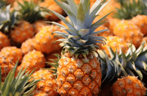 果蔬快讯｜乌兹别克斯坦暂停进口中国柑橘和菠萝，发生了什么？