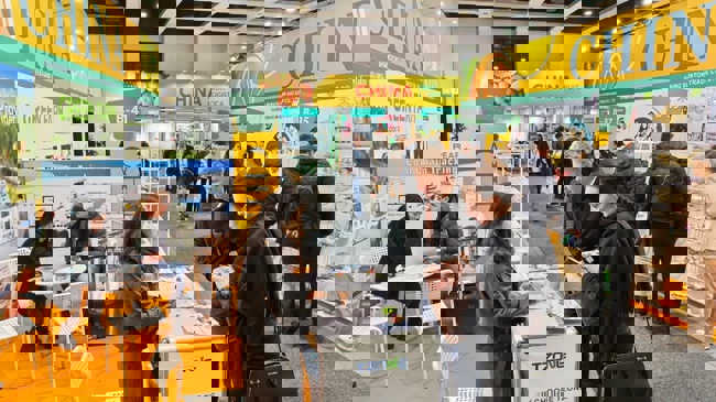 企业出海参展，为什么一定要找国际会展公司