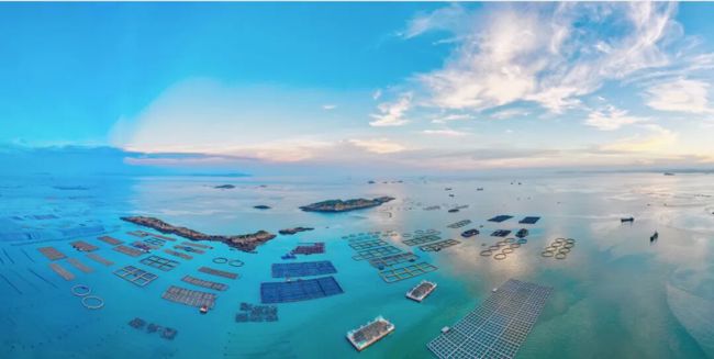 昂扬启新程 奋进谱新篇——2026年福州市海洋与渔业工作会议召开