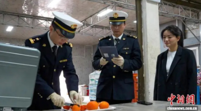 果蔬快讯｜鸡蛋橙子同车赴港，“生鲜集拼”改革释放什么信号？