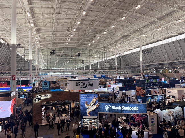 直击2026波士顿水产展：新天带您逛遍全球水产大集